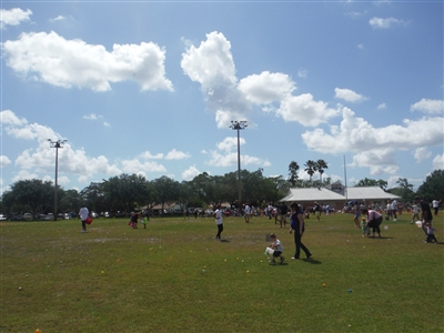 Save the Nation Eggstravaganza